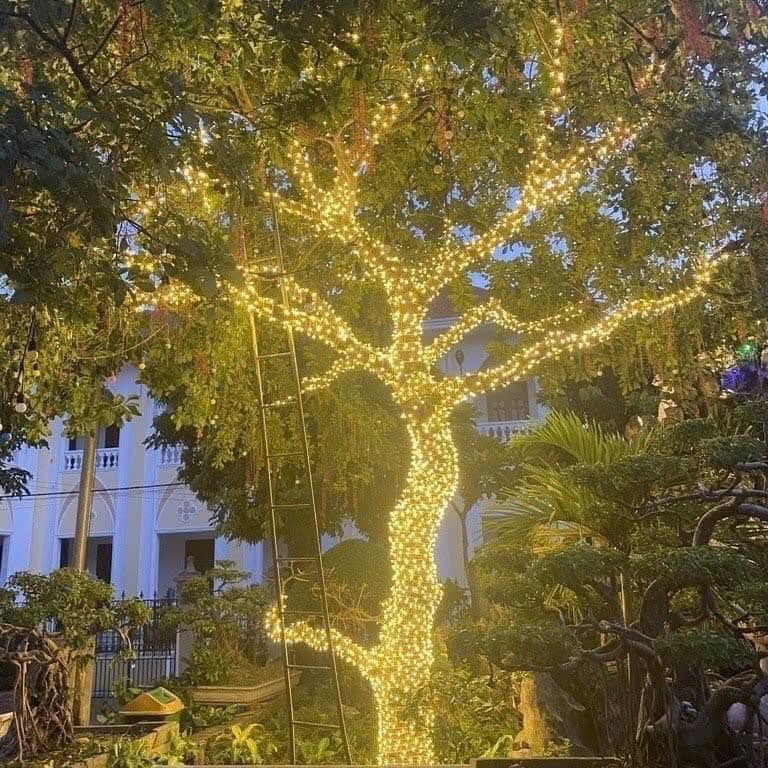 20 Dây Đèn (60m) Led Quấn Cây Kèm Nguồn 12v